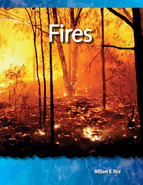 Cover image for book Fires