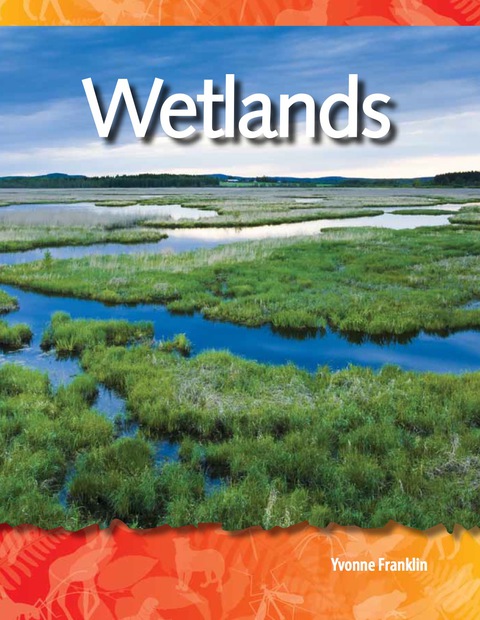 Cover image for book Wetlands
