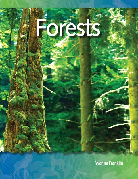 Cover image for book Forests