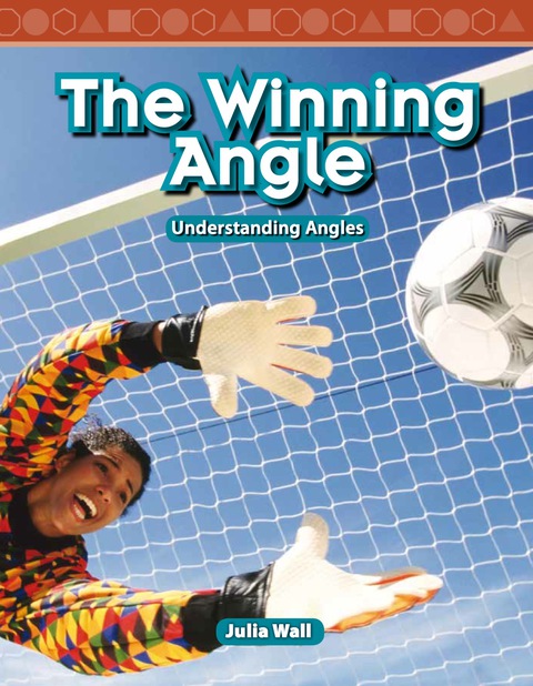 Cover image for book The Winning Angle