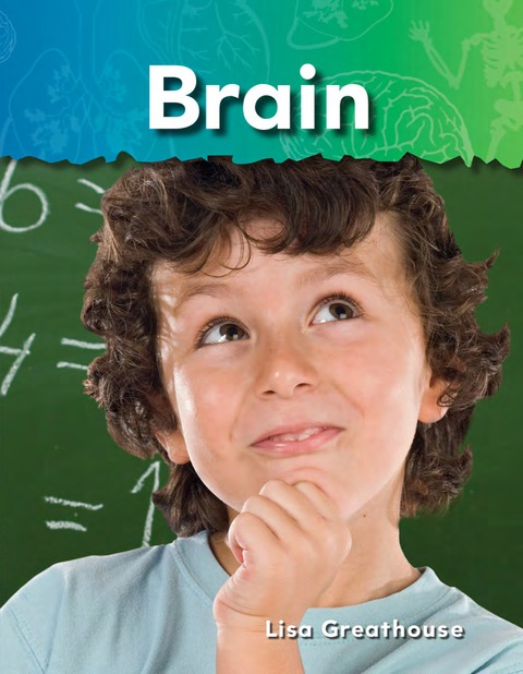 Cover image for book Brain