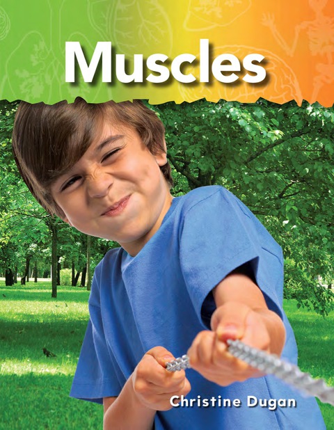 Cover image for book Muscles