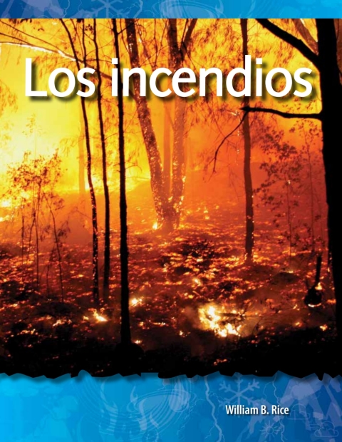 Cover image for book Los incendios (Fires)