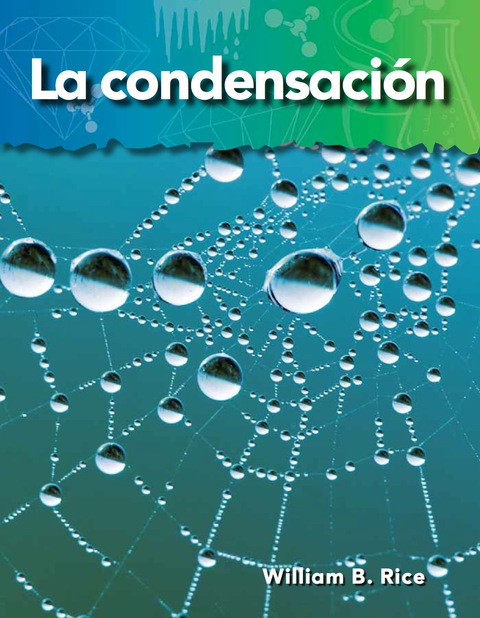 Cover image for book La condensación (Condensation)
