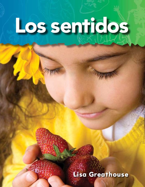 Cover image for book Los sentidos (Senses)