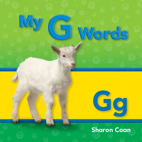 Cover image for book My G Words