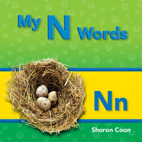 Cover image for book My N Words