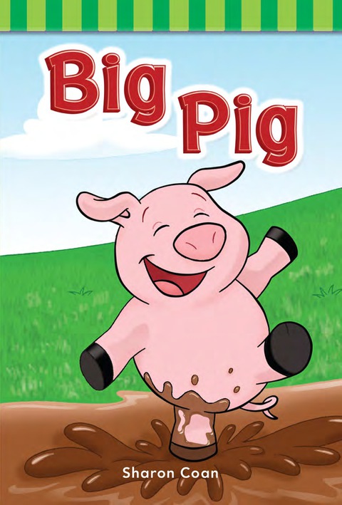 Cover image for book Big Pig