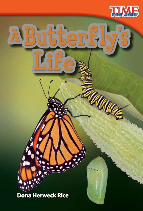 Cover image for book A Butterfly's Life