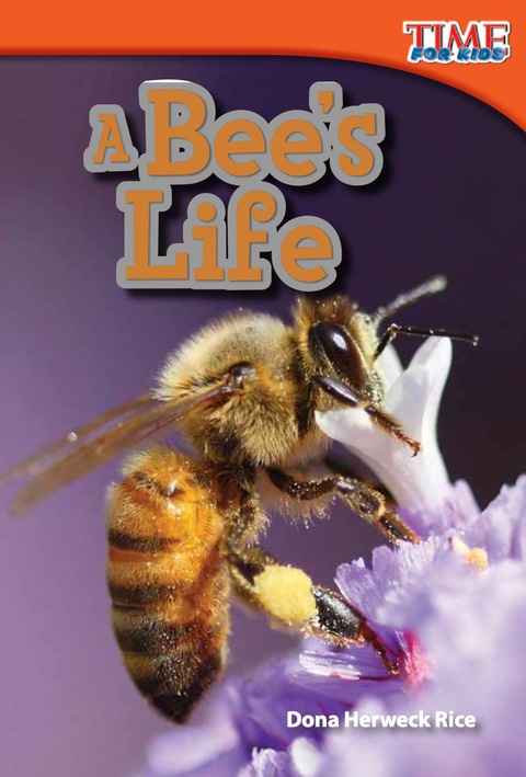 Cover image for book A Bee's Life