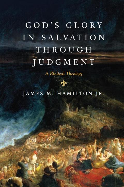 Cover image for book God's Glory in Salvation through Judgment