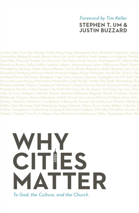 Cover image for book Why Cities Matter