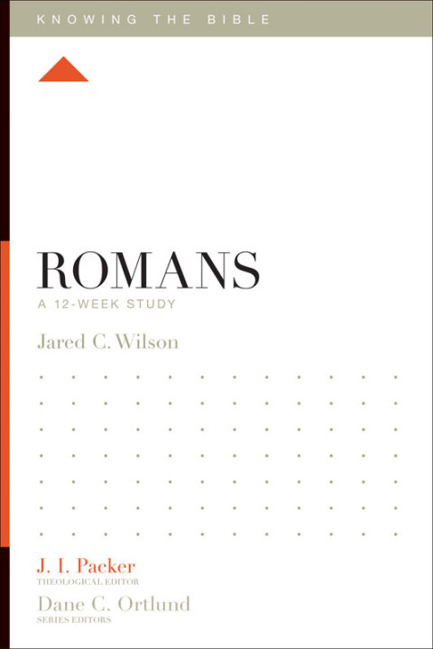 Cover image for book Romans