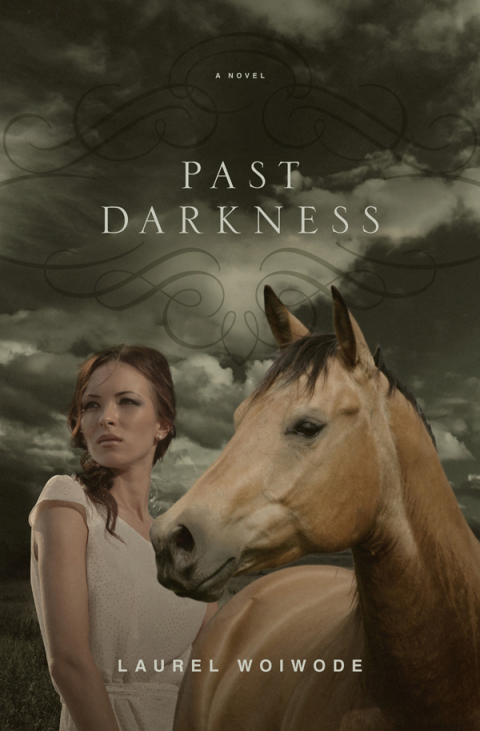 Cover image for book Past Darkness