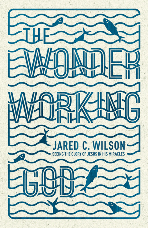 Cover image for book The Wonder-Working God