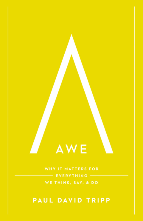 Cover image for book Awe