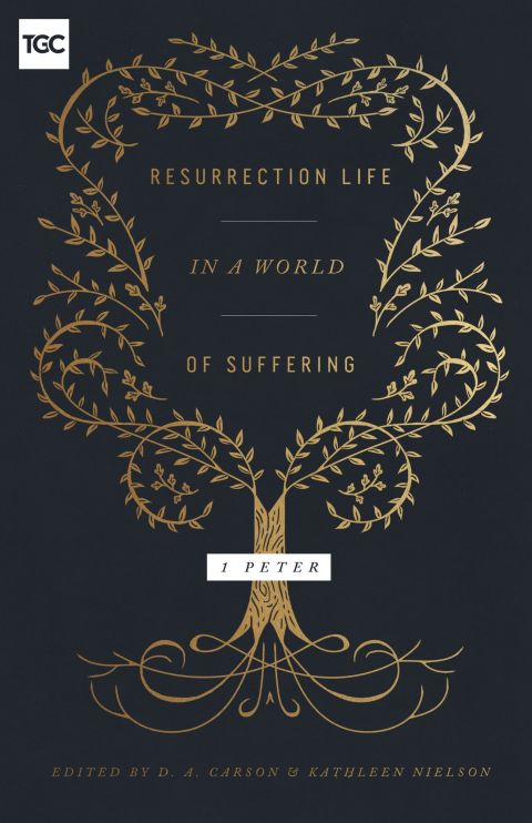 Cover image for book Resurrection Life in a World of Suffering