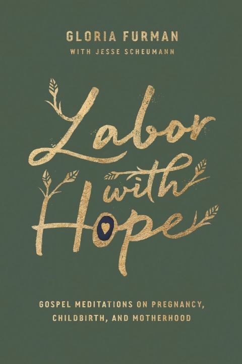Cover image for book Labor with Hope