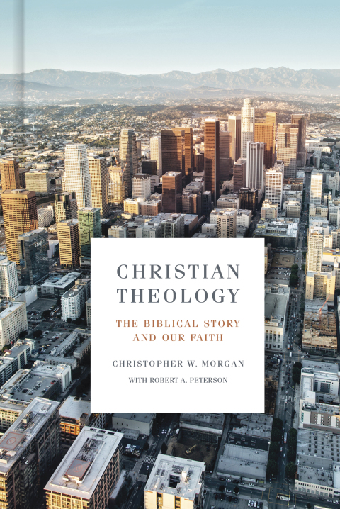 Cover image for book Christian Theology