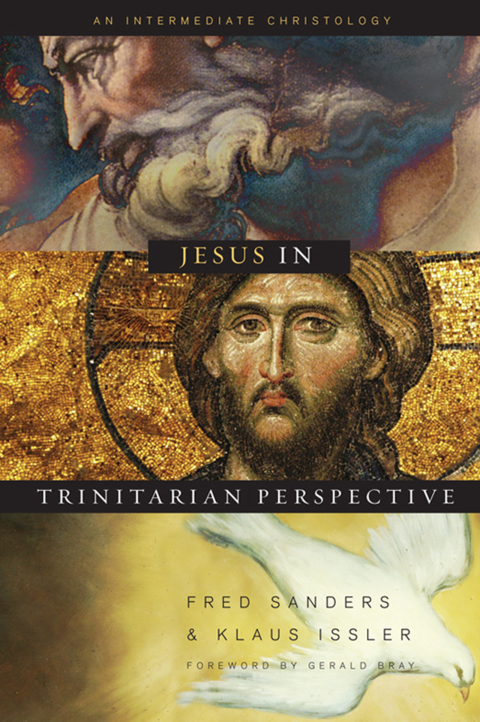 Cover image for book Jesus in Trinitarian Perspective