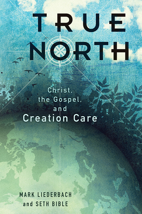 Cover image for book True North
