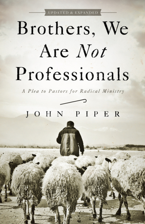 Cover image for book Brothers, We Are Not Professionals