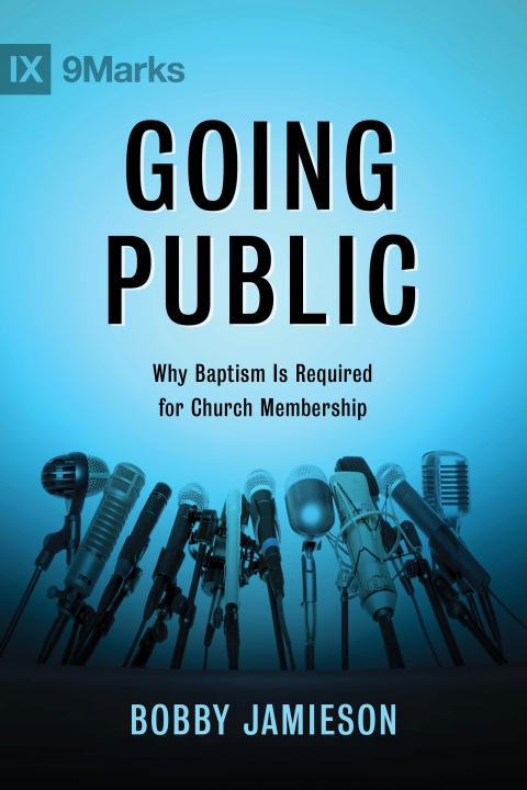 Cover image for book Going Public