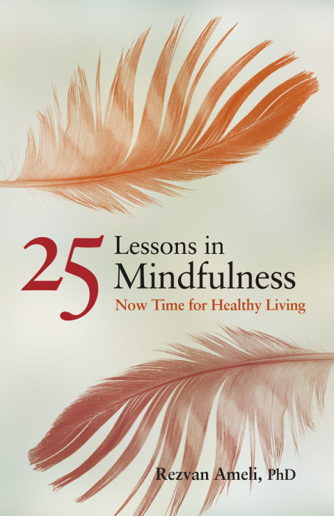 Cover image for book 25 Lessons in Mindfulness