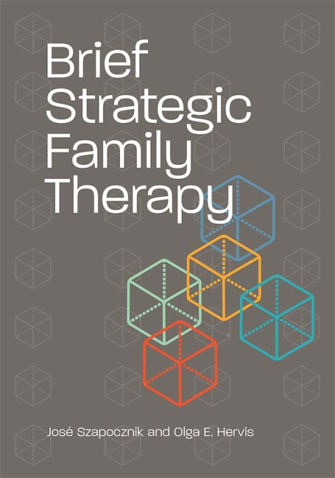 Cover image for book Brief Strategic Family Therapy