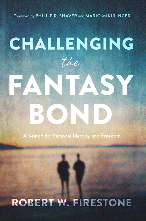 Cover image for book Challenging the Fantasy Bond