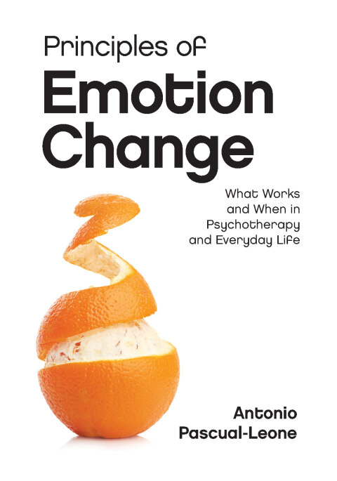 Cover image for book Principles of Emotion Change