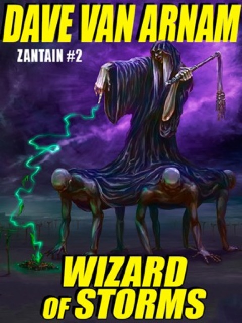 Cover image for book Wizard of Storms