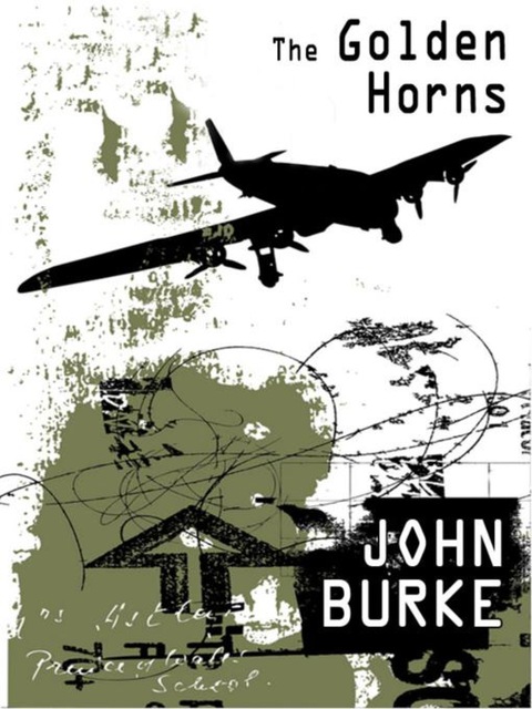 Cover image for book The Golden Horns