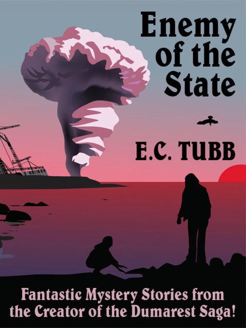Cover image for book Enemy of the State