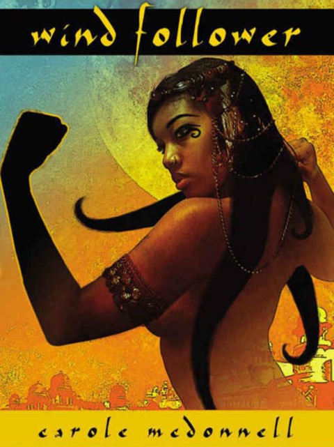 Cover image for book Wind Follower