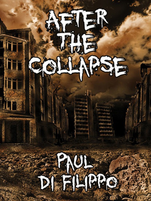 Cover image for book After the Collapse