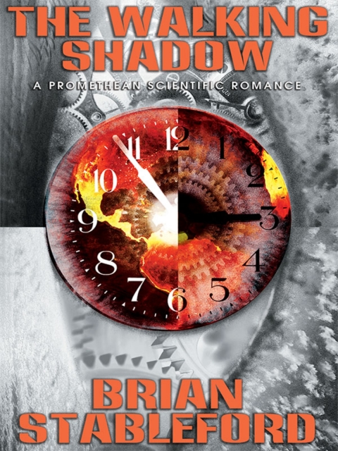 Cover image for book The Walking Shadow