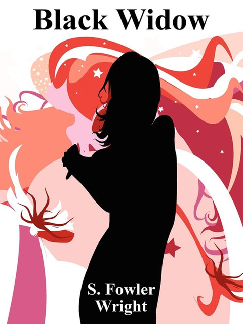 Cover image for book Black Widow