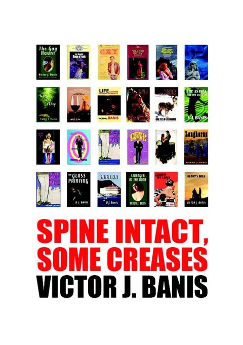 Cover image for book Spine Intact, Some Creases