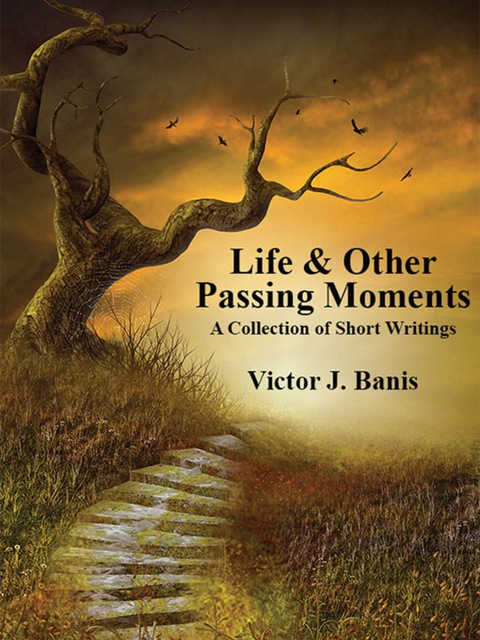 Cover image for book Life & Other Passing Moments