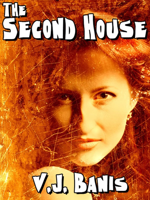 Cover image for book The Second House