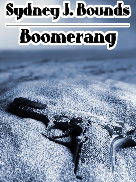 Cover image for book Boomerang