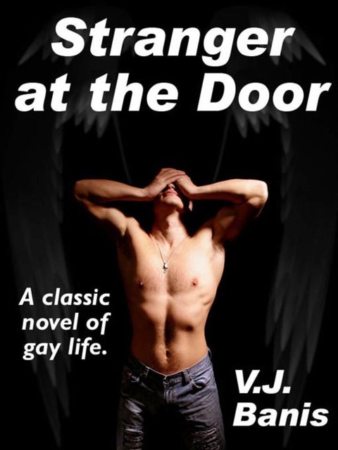 Cover image for book Stranger at the Door