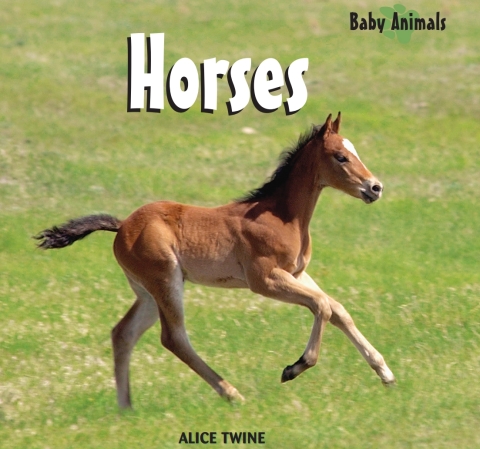 Cover image for book Horses