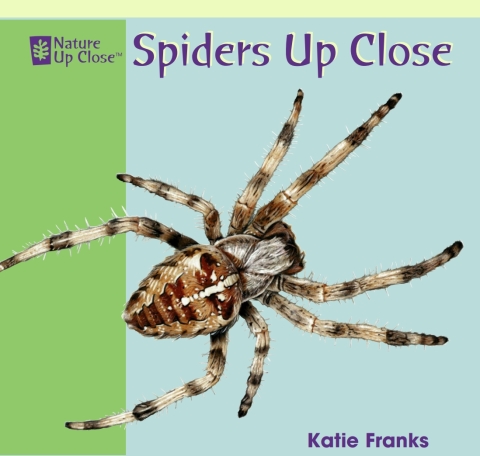 Cover image for book Spiders Up Close