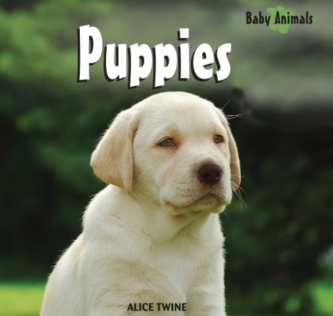 Cover image for book Puppies