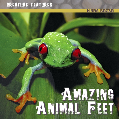 Cover image for book Amazing Animal Feet