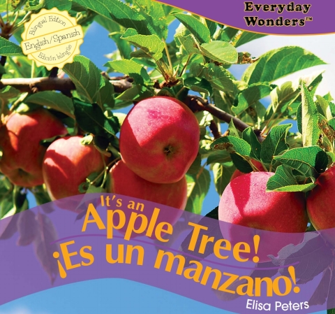 Cover image for book It’s an Apple Tree!