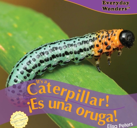 Cover image for book It’s a Caterpillar!