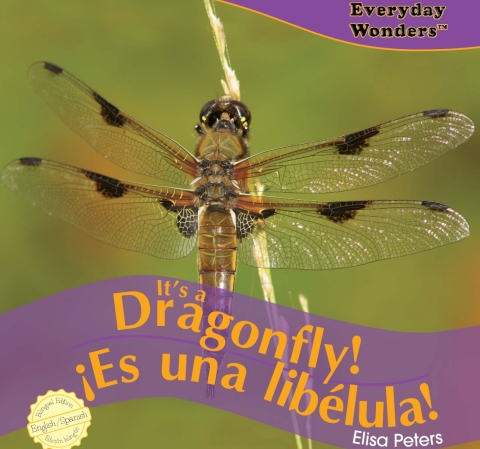 Cover image for book It’s a Dragonfly!